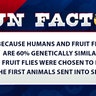 Because humans and fruit flies are 60% genetically similar, fruit flies were chosen to be the first animals sent into space