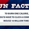 To burn one calorie, you’d have to click a computer mouse 10 million times