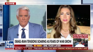 Morgan Ortagus pans Kamala Harris' comments about Netanyahu: 'You don't care about democracy' - Fox News