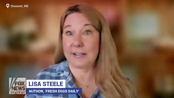 On World Egg Day, author reveals 'gold standard' of eggs found at grocery stores