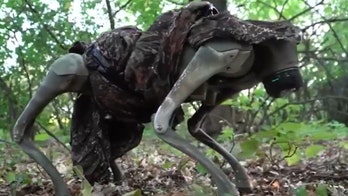 Ukraine shows off capabilities of new drone-dropped, flamethrowing robotic war dogs: video